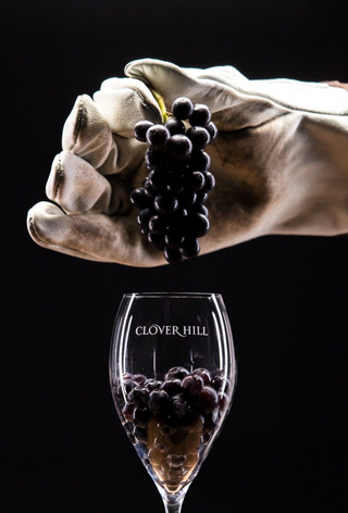 Principals of Pinot Noir